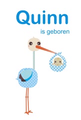 geboortesticker quinn full color - blauw